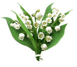 a fragrant bouquet of lilly of the valley 
